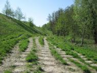 Шкарівка з panoramio.com