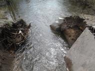 Нижня Сагарівка з panoramio.com