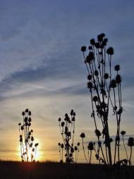 Цупки з panoramio.com