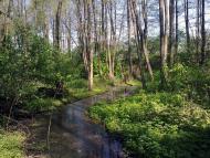 Тарасівка з panoramio.com