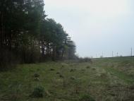 Оріхівка з panoramio.com