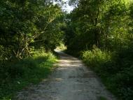 Крупчатка з panoramio.com