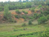 Козакова Балка з panoramio.com