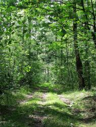 Понінка з panoramio.com