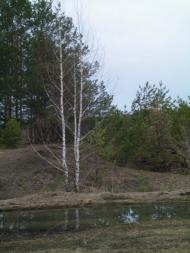 Осьмаки з panoramio.com