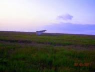 Рисове з panoramio.com