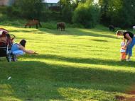 Котоване з panoramio.com