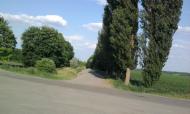 Ситники з panoramio.com