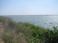 Рисове з panoramio.com