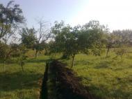 Корнич з panoramio.com