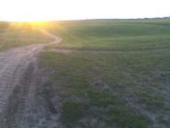 Бандурове з panoramio.com