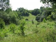 Антоненкове з panoramio.com