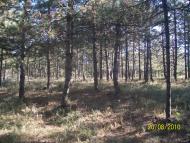 Калачівка - Останні фото