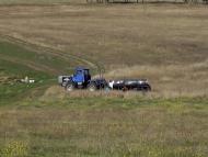 Комсомольське з panoramio.com