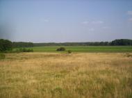 Марушівка - Останні фото