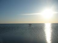 Рисове з panoramio.com