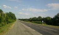 Ситники з panoramio.com