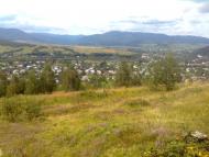 Новоселиця з panoramio.com