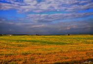 Перше Травня з panoramio.com