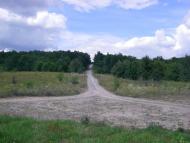 Розумівка з panoramio.com