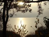 Максимівка з panoramio.com