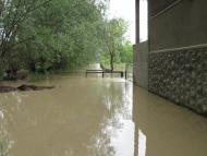 Тарасівці з panoramio.com