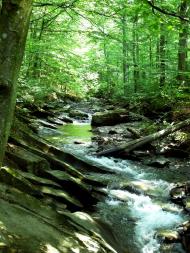 Лумшори з panoramio.com