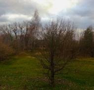 Дитятки з panoramio.com