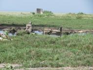 Тарасівка з panoramio.com