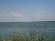 Рисове з panoramio.com