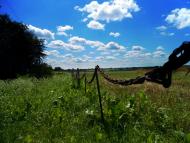 Княже з panoramio.com