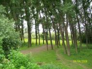 Тарасівці з panoramio.com