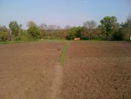 Новоархангельськ з panoramio.com