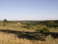 Ситники з panoramio.com