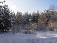 Пролетарське з panoramio.com