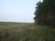 Оріхівка з panoramio.com