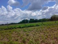 Малі Копані з panoramio.com