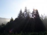 Потутори з panoramio.com