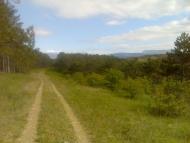 Піонерське з panoramio.com