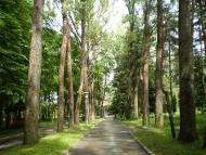 Новий Яр з panoramio.com