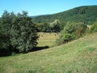 Довге з panoramio.com