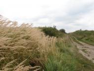 Русин з panoramio.com