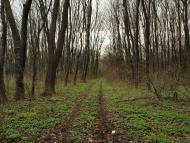 Демидівка з panoramio.com