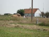 Весняна Квітка з panoramio.com