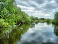 Броники - Останні фото