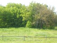 Слюсарі з panoramio.com