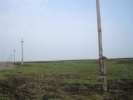 Великий Чернятин - Останні фото