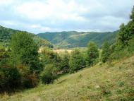 Довге з panoramio.com