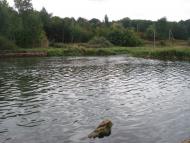 Снітівка з panoramio.com