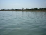 Медведеве з panoramio.com